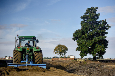 農作業中に腕切断、そのまま遺棄されたインド人労働者死亡 イタリア
