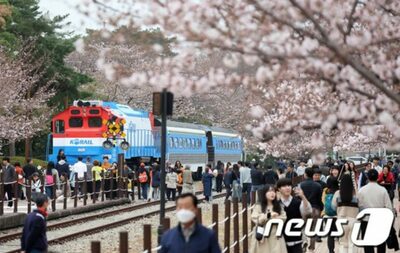 「外国人38万8000人ご来訪」という行事、実は4907人だけ…韓国で相次ぐ観光客の水増し