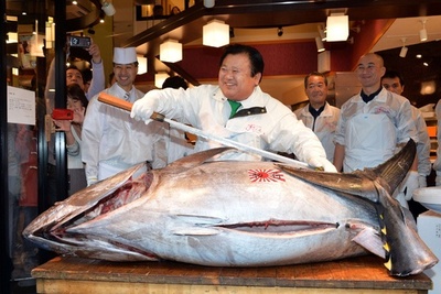 マグロ初競り736万円、ライバル敬遠で大幅安値