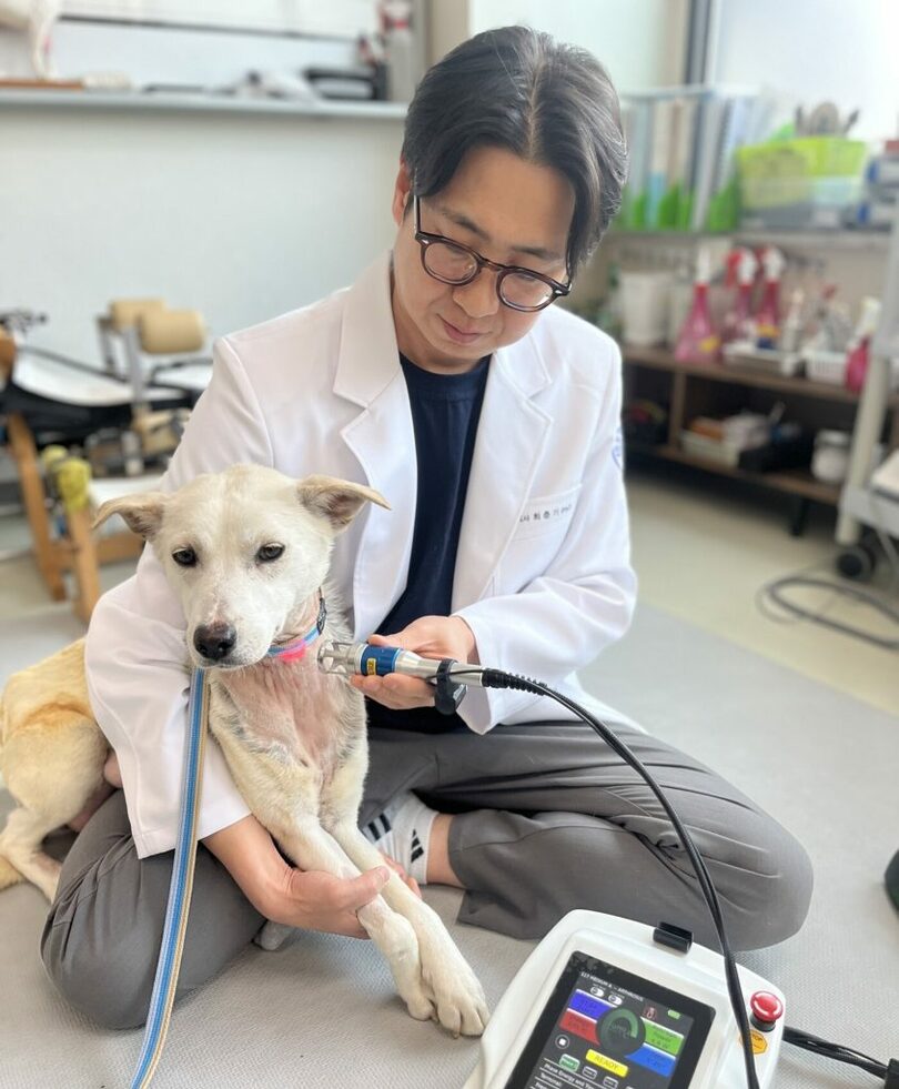 首筋部位再生のためにレーザー治療を受ける母犬＝動物病院提供(c)news1