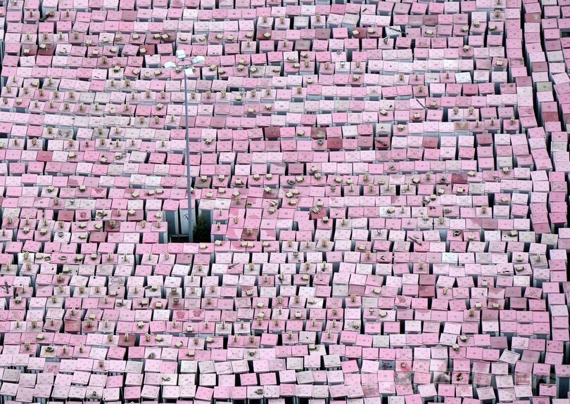 ずらり並んだ電話ボックス、撤去後の行き先は？