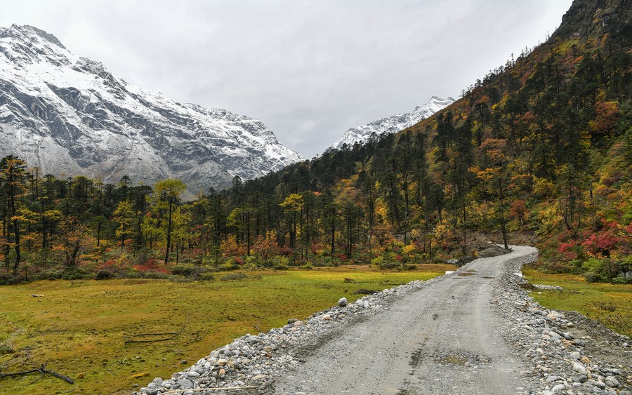 チベット自治区、全県でアスファルト道路開通