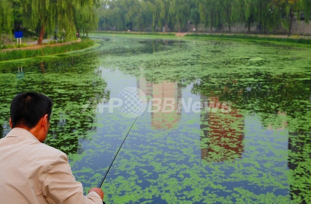 中国沿岸部の80 以上で水質汚染 写真1枚 国際ニュース Afpbb News