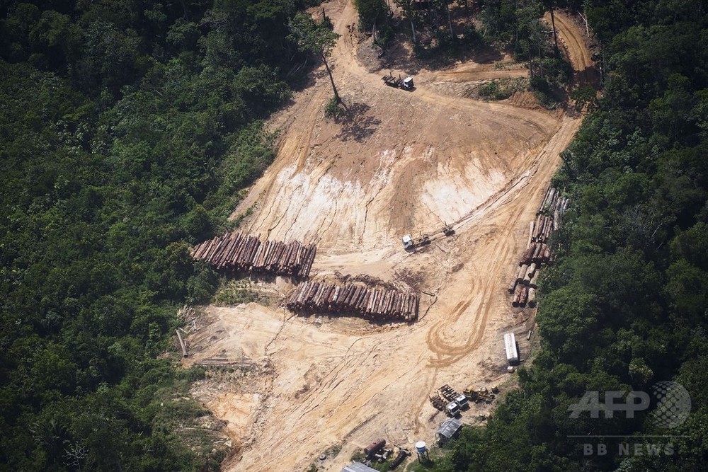 アマゾンの森林伐採は遠隔地でも強い温暖化を引き起こす