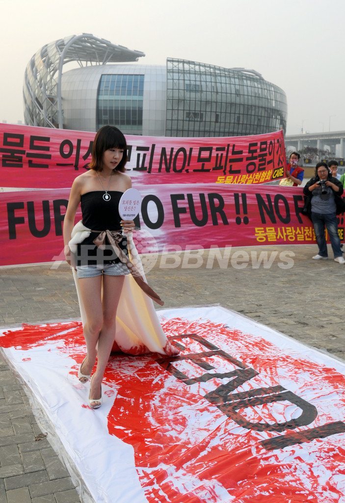 韓国でフェンディがショー、動物愛護団体が抗議