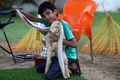パキスタン南部カラチで、子ヤギのシンバの長い耳を持ち上げる飼い主の息子（2022年7月6日撮影）。(c)Asif HASSAN / AFP