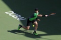 テニス、ドバイ・テニス選手権、男子シングルス2回戦。リターンを狙うアンディ・マレー（2015年2月25日撮影）。(c)AFP/KARIM SAHIB