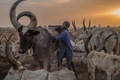 (c)AFP / Stefanie Glinski