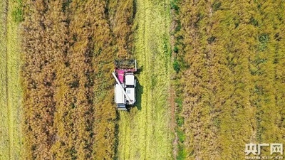 中国の1人当たりの食糧生産量、安定して450キロ以上