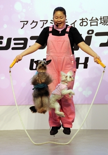 縄跳びも披露！お台場で「わんわんコレクション」