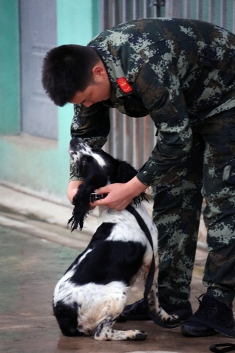 物静かだけど鼻は確か、雲南の国境守る麻薬取締犬
