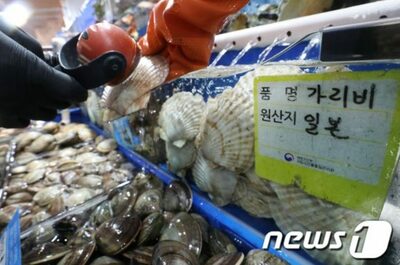 処理水放出に不安募る韓国の水産市場「放出しても刺身屋に客は来るでしょうか」