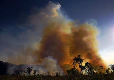 ブラジル副大統領、ディカプリオさんをアマゾンに招待 森林火災批判受け