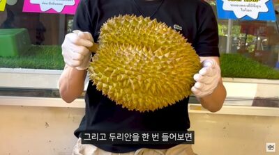 韓国の専門職・公務員がユーチューバーに…「安定」捨てた理由