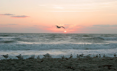 海底に無数の巨大鉄パイプ？　温暖化阻止の奇策