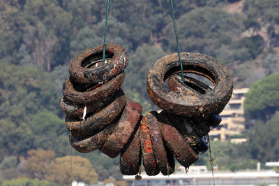 「サンクチュアリ」が汚染源に...南仏、人工魚礁のタイヤ2.5万本撤去