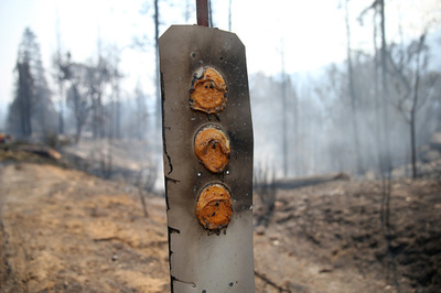 カリフォルニアの山火事、州史上4番目の規模に 出火元はマリフアナ農場か