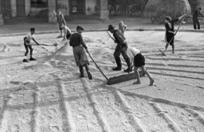 伊女性が娘と71年ぶり再会、戦時下に生き別れ