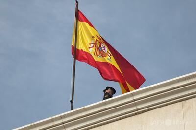 動物虐待にDV防止法を適用「ペットに対する代理暴力」 スペイン裁判所