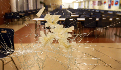 フィンランド政府、乱射事件を受け銃規制強化へ