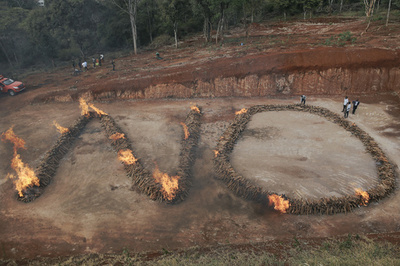 香木の違法伐採に「NO」焼却処分に ケニア
