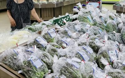 「サンチュを肉で包まねば？」…韓国・集中豪雨で野菜・果物値上がり