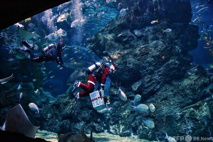 水中サンタからプレゼント！ タイ・バンコク