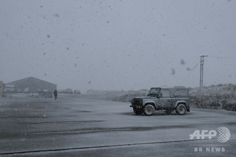 ブレグジットで冷え込むフォークランド諸島、野生生物保護や輸出に影響