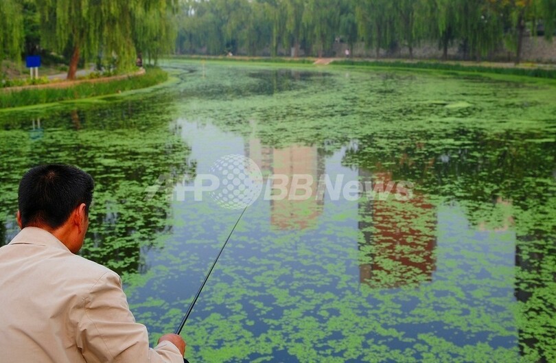 中国沿岸部の80 以上で水質汚染 写真1枚 国際ニュース Afpbb News