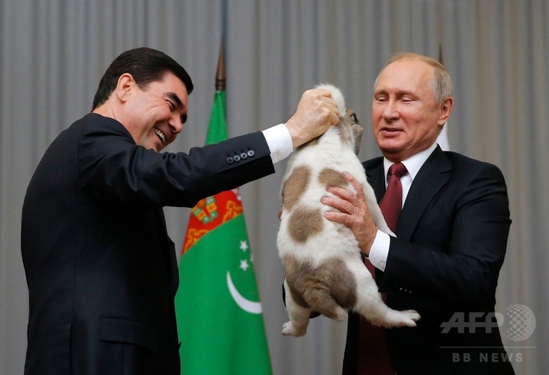 プーチン大統領 犬を贈呈される 中央アジア原産の牧羊犬 写真7枚 国際ニュース Afpbb News