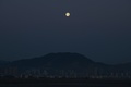 中国福建省・霞浦県の干潟から見た街の中心部と空に浮かぶ月（2019年12月13日撮影）。(c)HECTOR RETAMAL / AFP