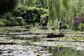 フランス印象派の巨匠クロード・モネの自宅庭園の池を掃除する庭師。仏ノルマンディー地方ジベルニーにて（2019年6月14日撮影）。(c)Ludovic MARIN / AFP