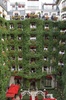 パリ（Paris）・モンテーニュ通り（Avenue Montaigne）にある老舗ホテル「プラザ・アテネ（Plaza Athenee）」の中庭に面するバルコニーで記念撮影をする従業員ら（2013年10月1日撮影）。(c)AFP/FRED DUFOUR