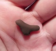 約1万3500年前に作られたとみられる小さな鳥の彫像。画像は仏CNRSとノルウェー・ベルゲン大学提供（2020年6月9日提供）。(c)AFP PHOTO / CNRS / University of Bergen / Dr. Francesco D&apos;Errico / L.Doyon