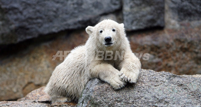 img_1c6b40047244bef165e82619a6