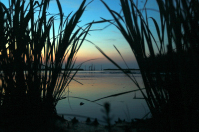 米沿岸部の洪水被害、自然破壊で大幅増 米研究