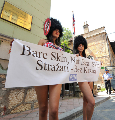 PETA、英近衛兵帽のクマ毛皮に抗議