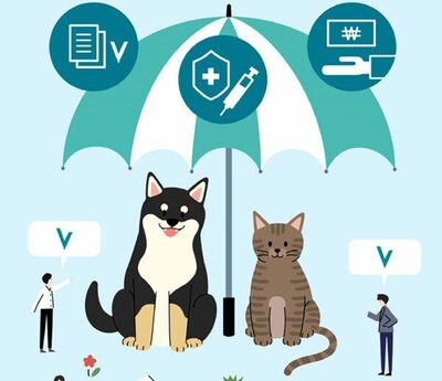 「子犬の手術費用14万円」…悲鳴上げる韓国の飼い主が自戒「カネの心配ない人だけペット飼え」