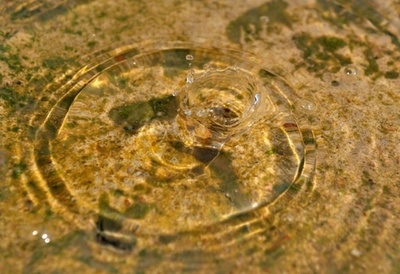 気候変動が人類の進化を後押し、英研究