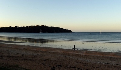 「幻のクジラ」を初めて確認、ニュージーランド