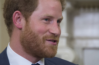 ヘンリー英王子、ネット上の偽情報に関する委員会のメンバーに