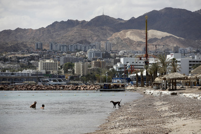 16歳少女を約30人が性的暴行、イスラエルで怒りの声