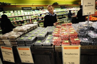 コケモモで肥満・糖尿病を予防、マウス実験で効果