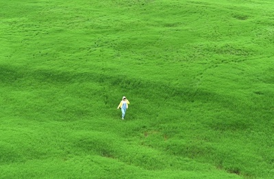 長江の露出した川底が草原に変身 中国・重慶市