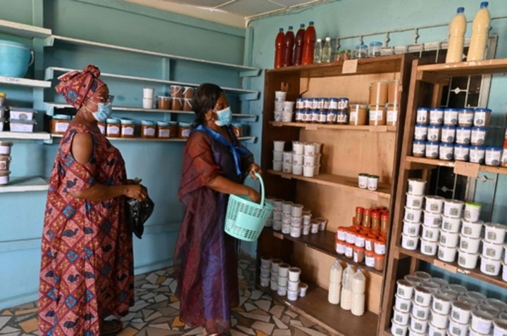 有機農業でさようなら貧困 コートジボワールの女性たち