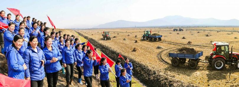 平壌の農場で働く女性たちの様子を伝える2025年3月8日付労働新聞(c)KOREA WAVE
