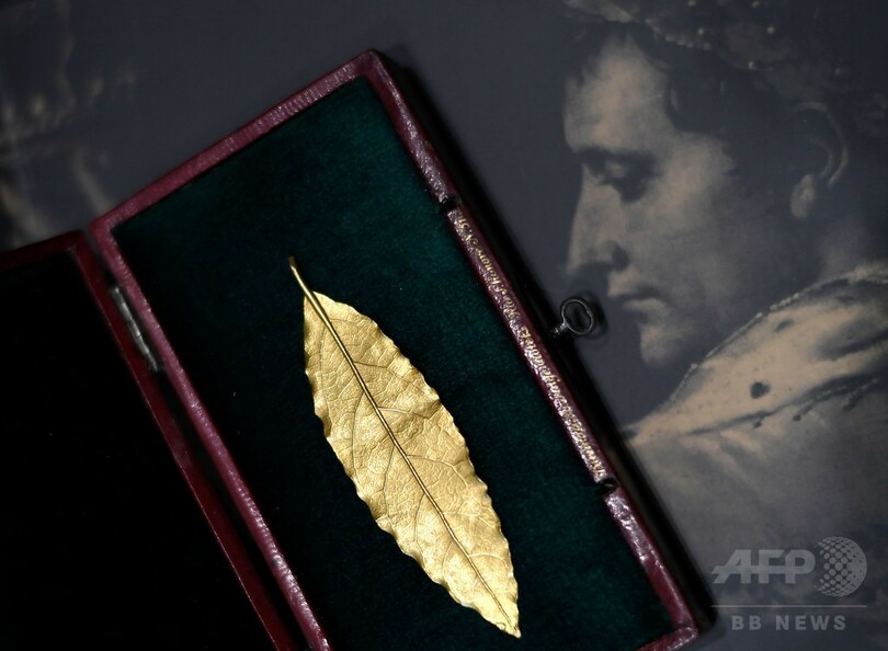 ナポレオンの冠から除かれた金細工の葉、8000万円超で落札 仏