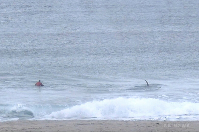北極圏のサーフィン大会、出場者のすぐ横にシャチ登場
