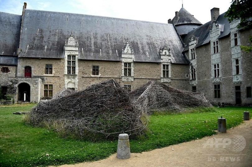 展示内容にがっかり…来観客がルソー作品を寄付、仏美術館