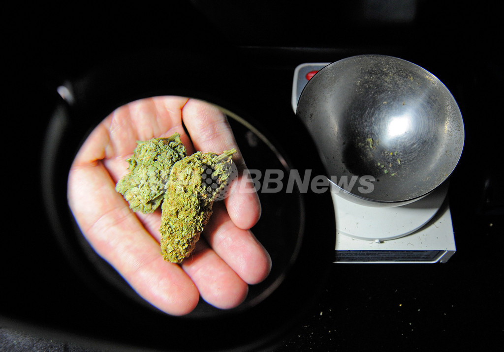 医療目的での大麻の使用拡大を求める、2州の知事が連邦政府に 医療目的での大麻の使用拡大を求める、2州の知事が連邦政府に